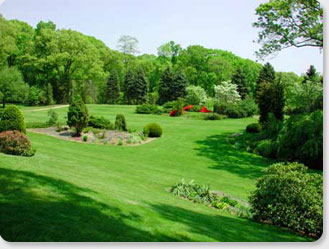 Greenville SC landscaping