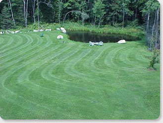 Greer SC turf management