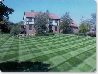 Greenville SC lawn care